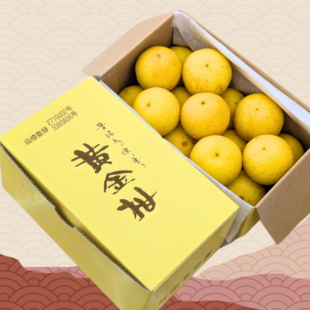 政經嚴選!日本高知縣貴婦人黃金柑禮盒(500g,12-15顆)