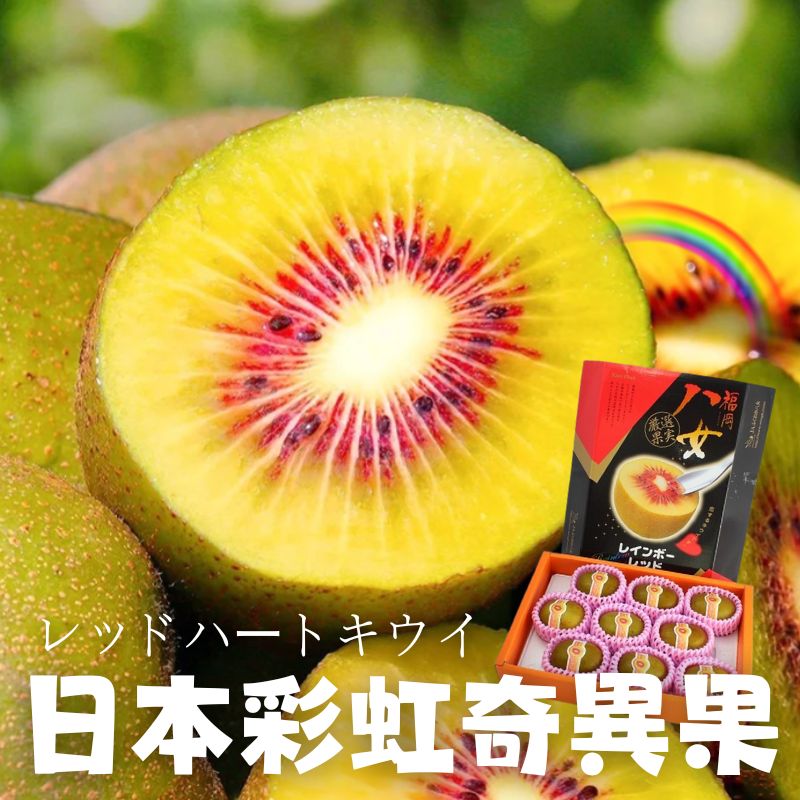 政經嚴選!日本彩虹奇異果禮盒