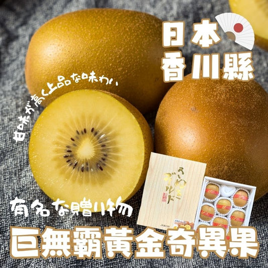 政經嚴選！香川黃金奇異果