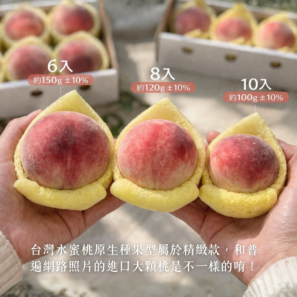Pre-order Bali Wendan grapefruit! 1 set of 2 boxes at a special price of 1450 yuan including shipping! Mid-Autumn Festival gifts! Ship before September 15! Produced and sold by small farmers in Taiwan