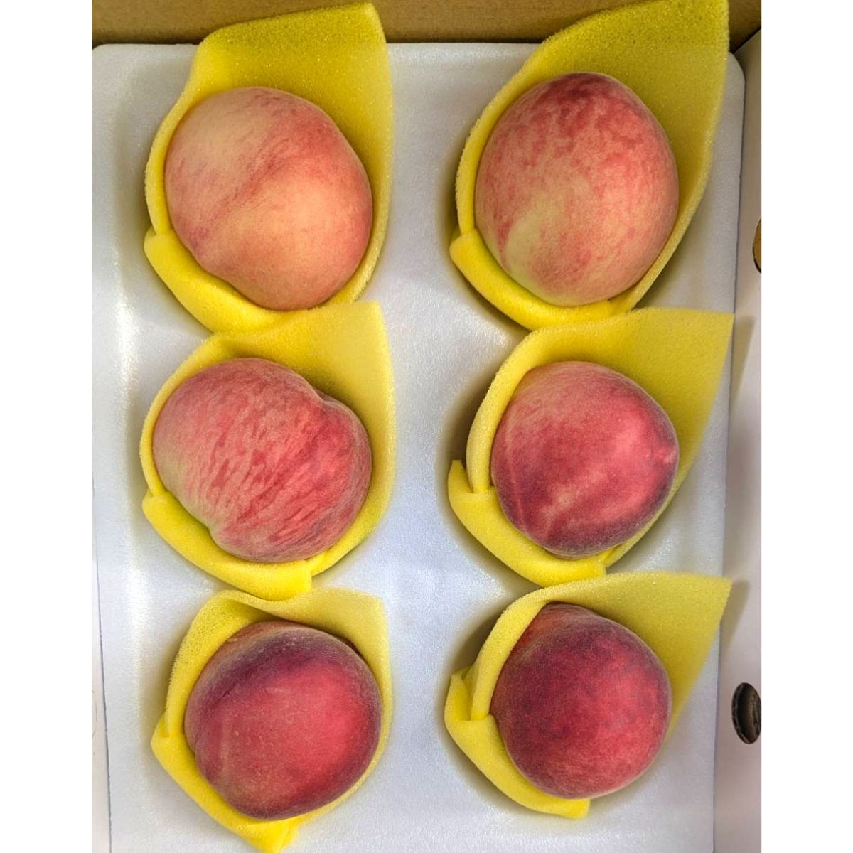 Pre-order Bali Wendan grapefruit! 1 set of 2 boxes at a special price of 1450 yuan including shipping! Mid-Autumn Festival gifts! Ship before September 15! Produced and sold by small farmers in Taiwan