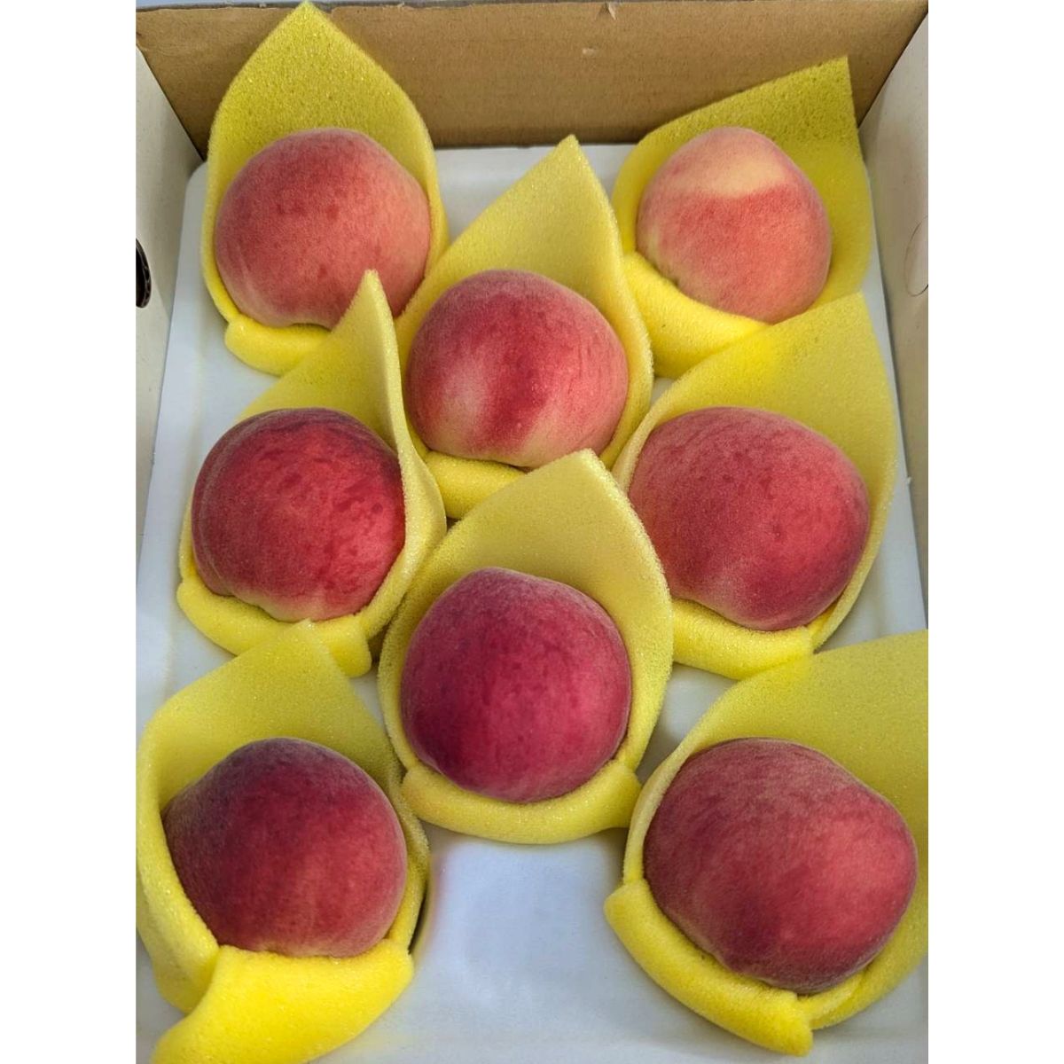 Pre-order Bali Wendan grapefruit! 1 set of 2 boxes at a special price of 1450 yuan including shipping! Mid-Autumn Festival gifts! Ship before September 15! Produced and sold by small farmers in Taiwan