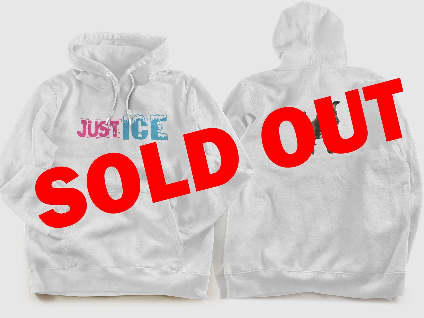 (Sold Out) JUSTICE X PICKLE Collaboration Hoodie