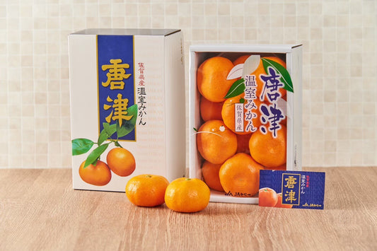 政經嚴選！日本唐津無籽蜜柑禮盒 12-15玉